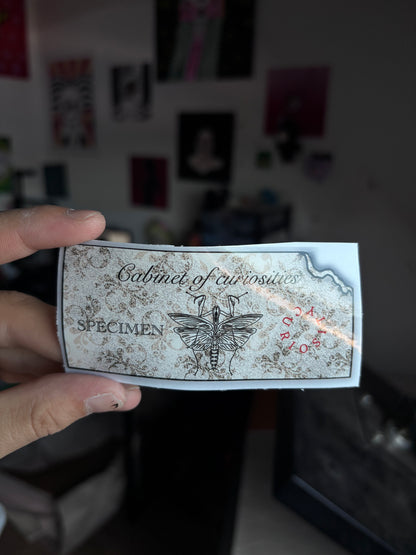 STICKERS TICKET DU CABINET DE CURIOSITE