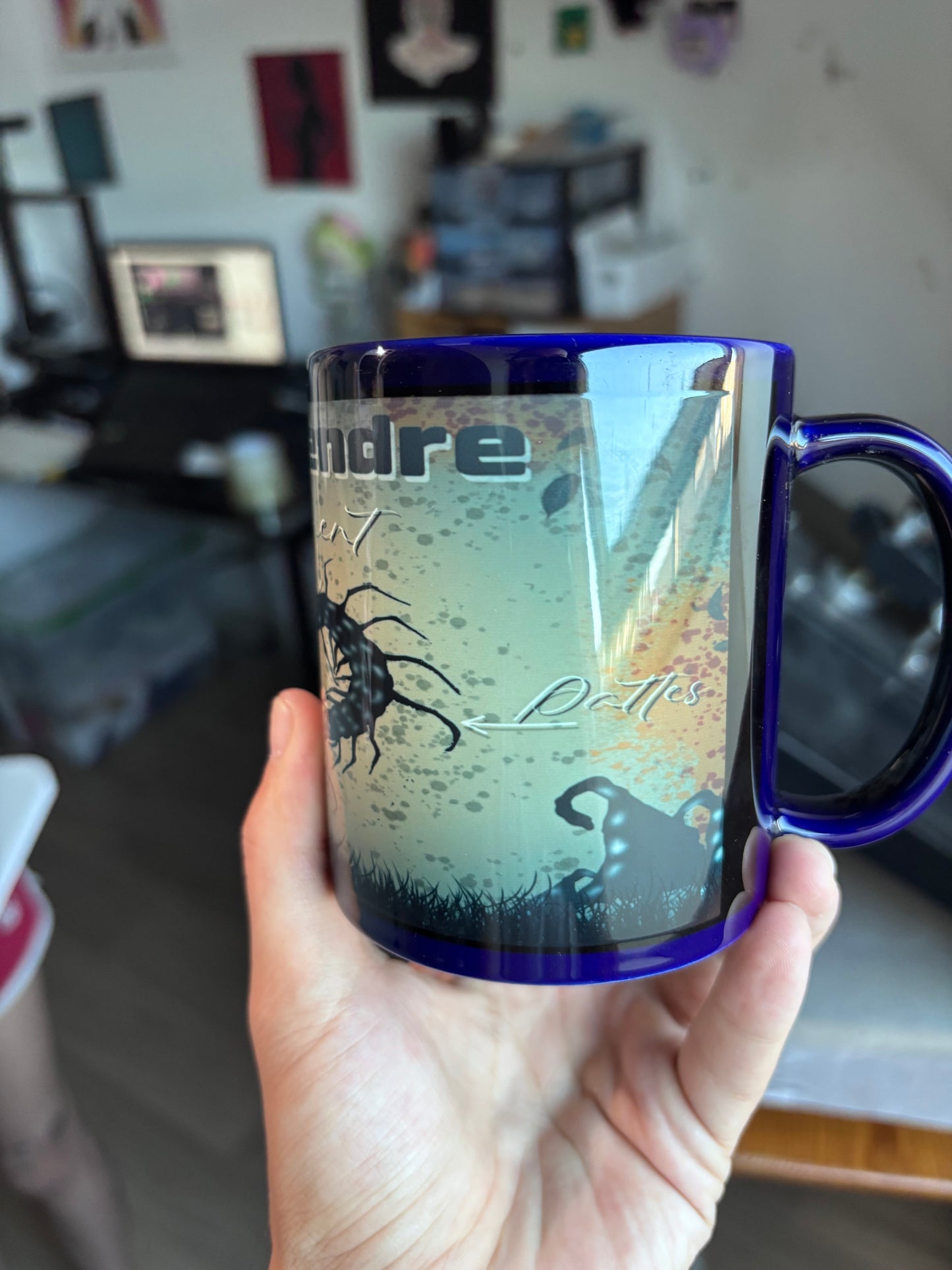 MUG FICHE SCIENTIFIQUE SCOLOPENDRE