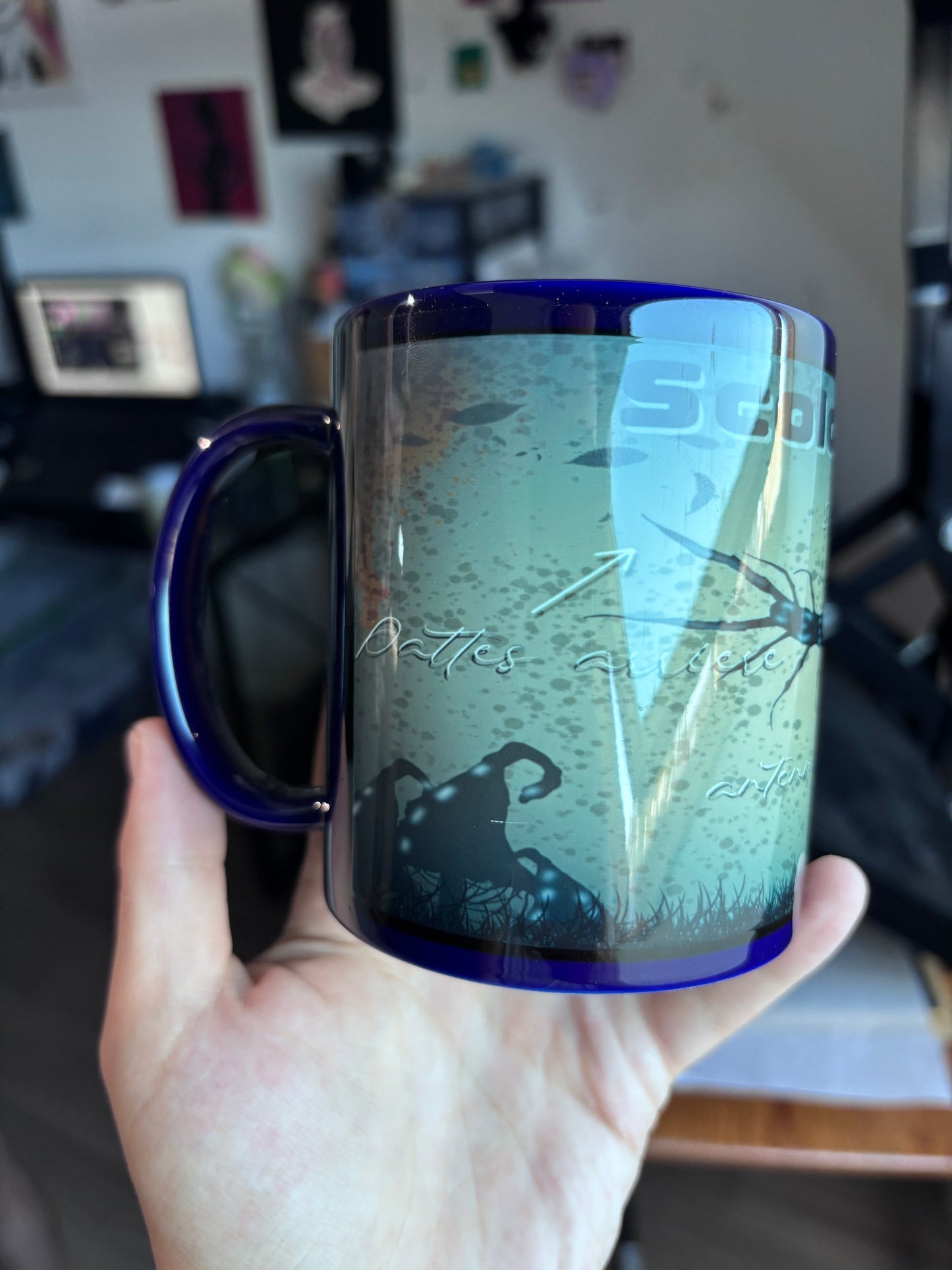 MUG FICHE SCIENTIFIQUE SCOLOPENDRE