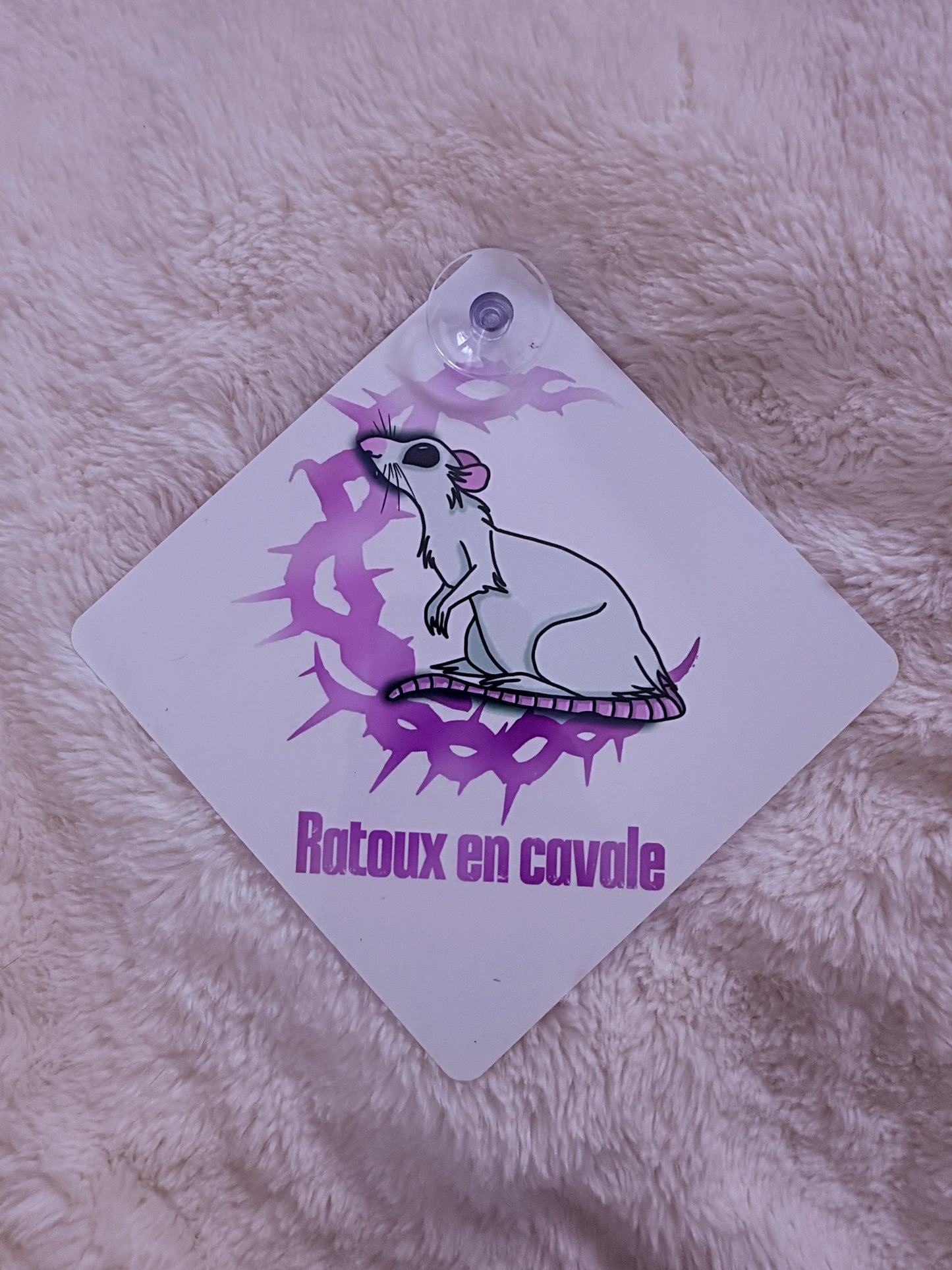 PLAQUE POUR VOITURE : RATOUX EN CAVALE